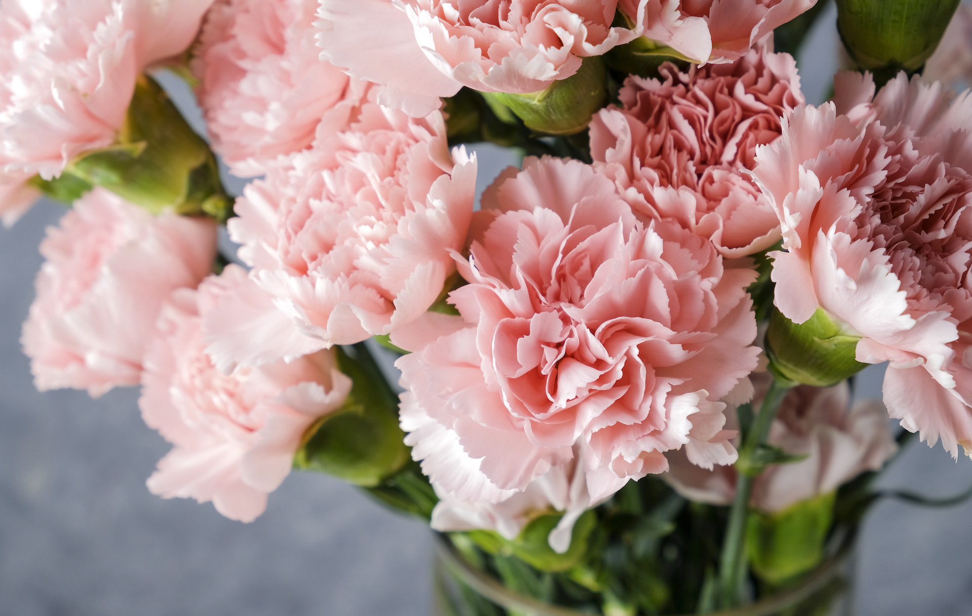Event: 2023 Mother's Day Luncheon