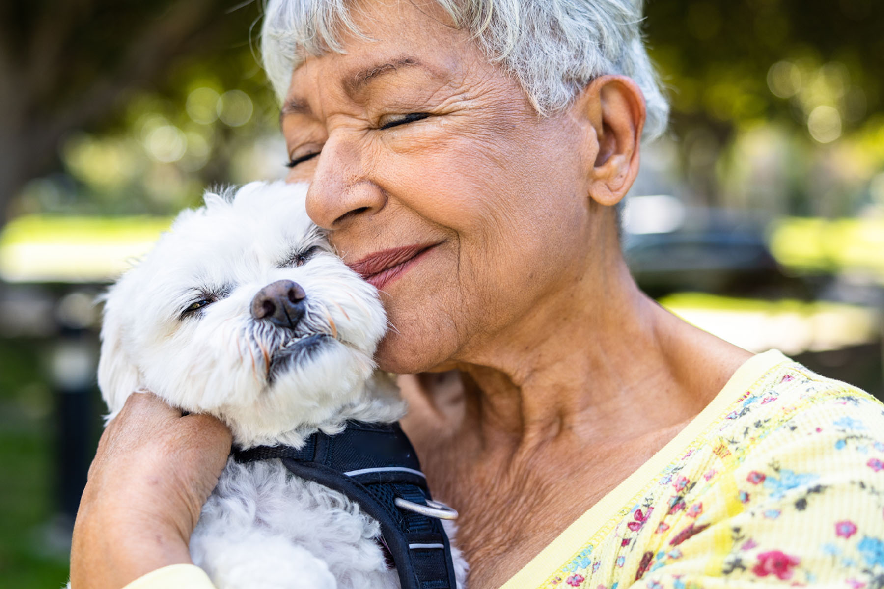 Pet Ownership for Seniors